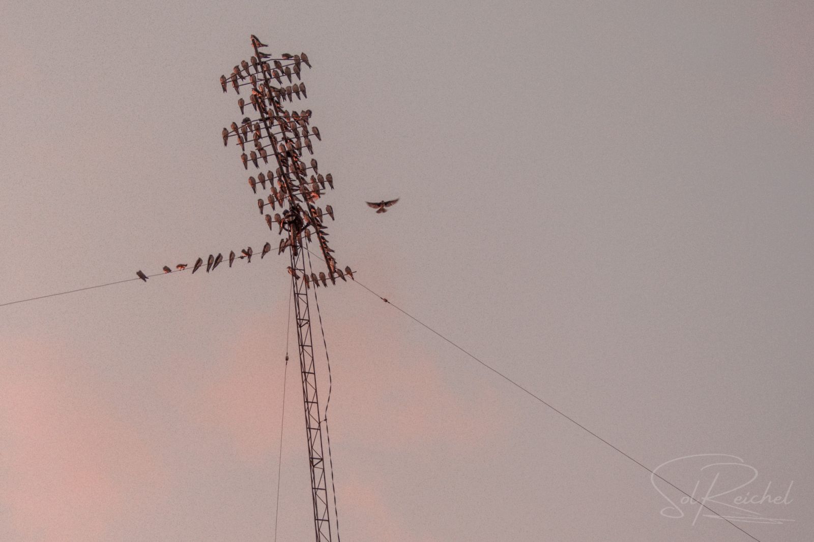 La libertad se ve en el distinto